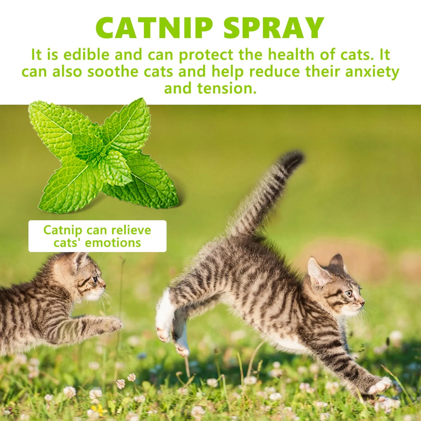 Yegbong  Catnip Spray Relieve Stress