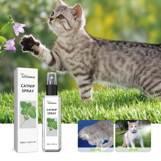 Yegbong  Catnip Spray Relieve Stress
