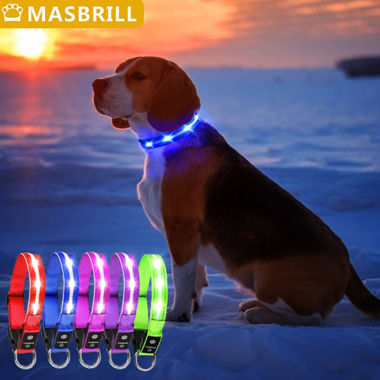 MASBRILL Light Up Dog Collar