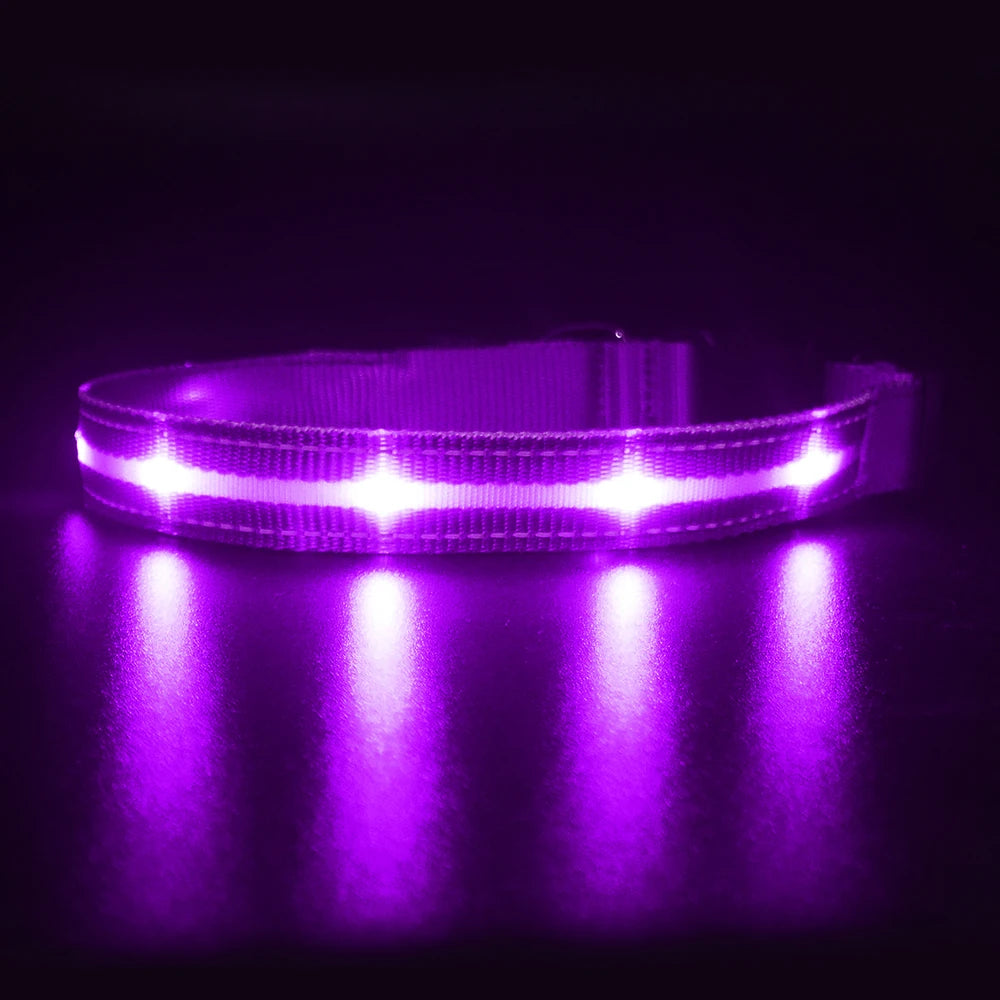 MASBRILL Light Up Dog Collar