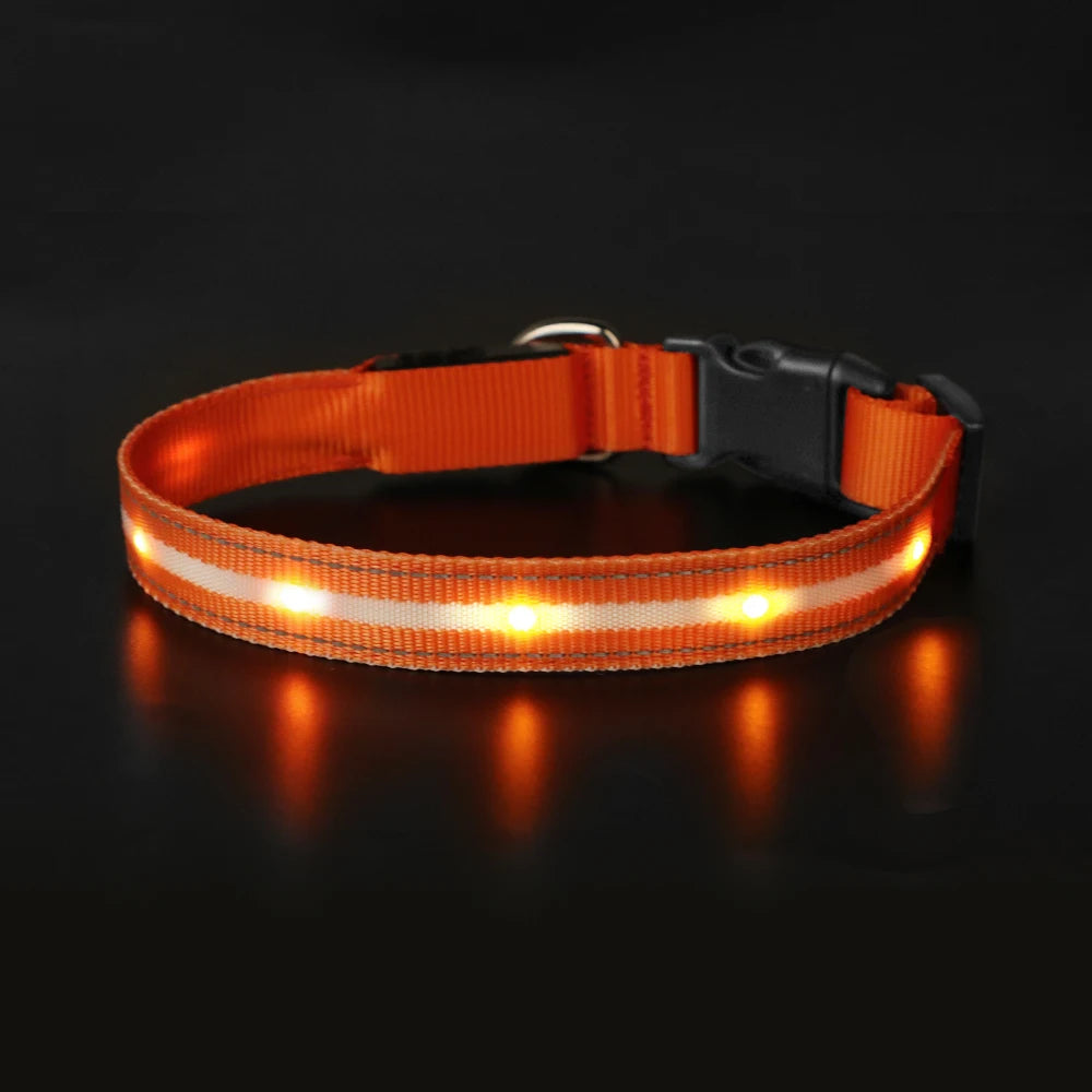MASBRILL Light Up Dog Collar