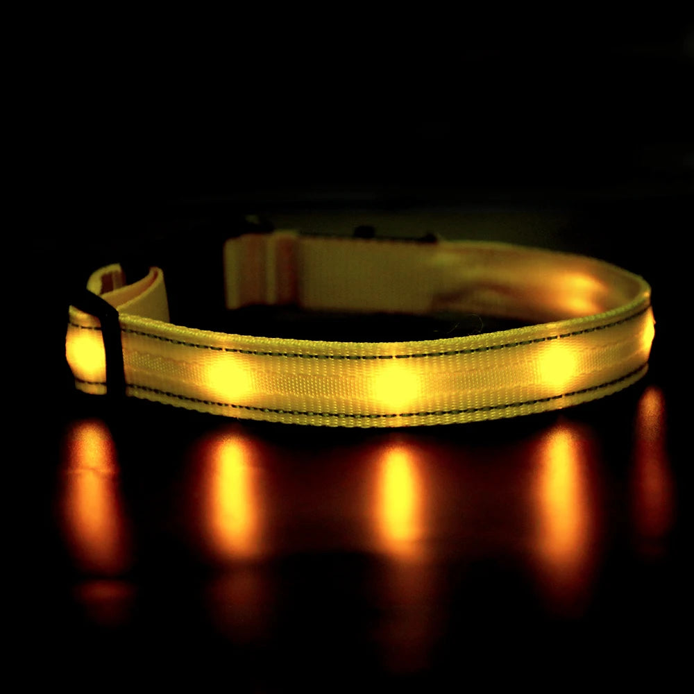 MASBRILL Light Up Dog Collar
