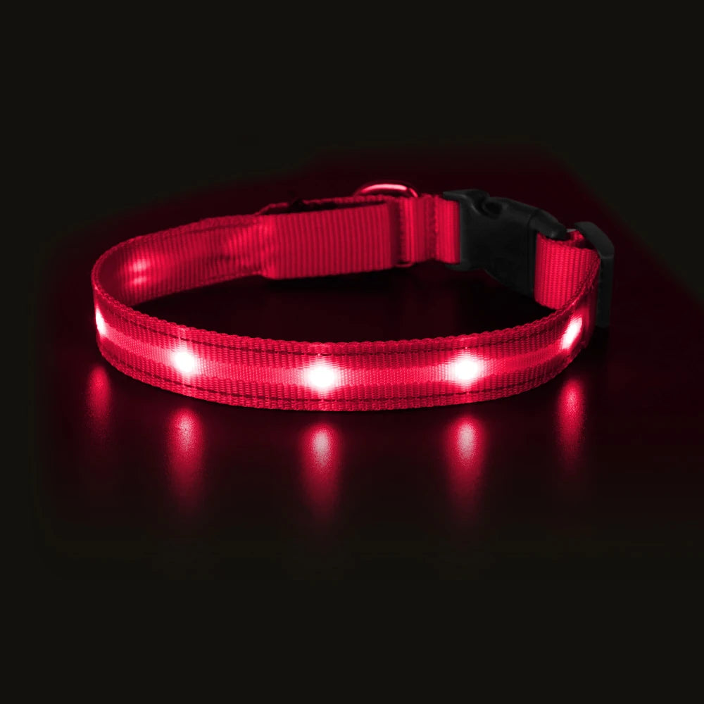 MASBRILL Light Up Dog Collar