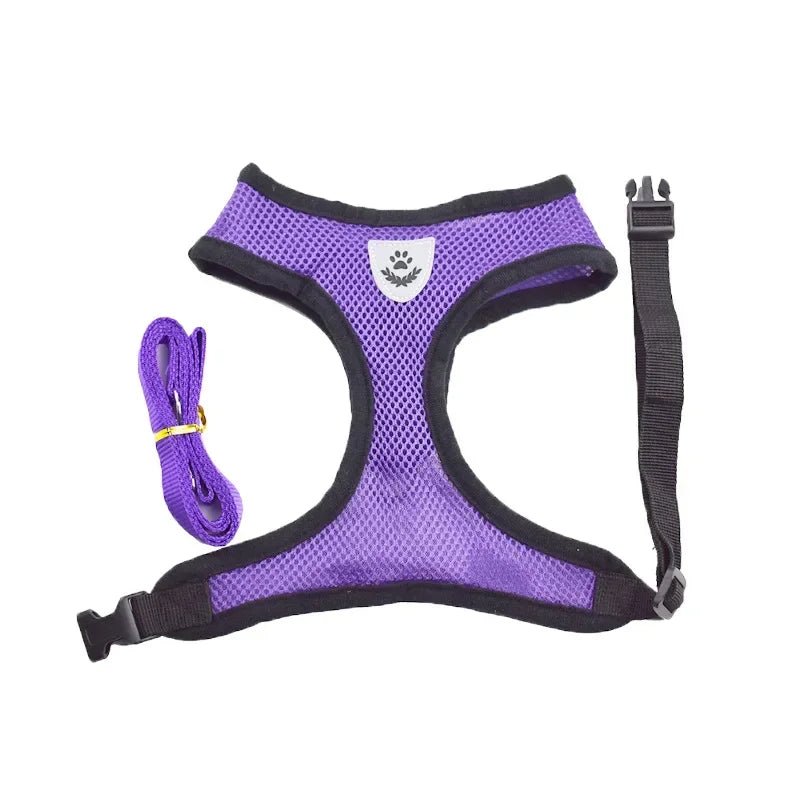 Small Pet Adjustable Harness Vest Walking Lead Leash