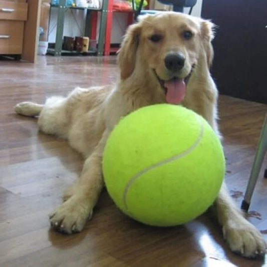 9.5'Giant Tennis Ball For Dog Inflatable