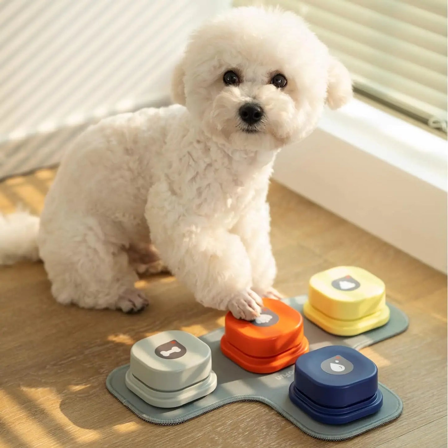 Mewoofun Dog Buttons Recordable Starter Pack