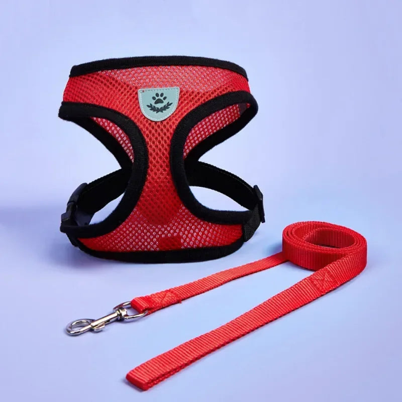 Small Pet Adjustable Harness Vest Walking Lead Leash