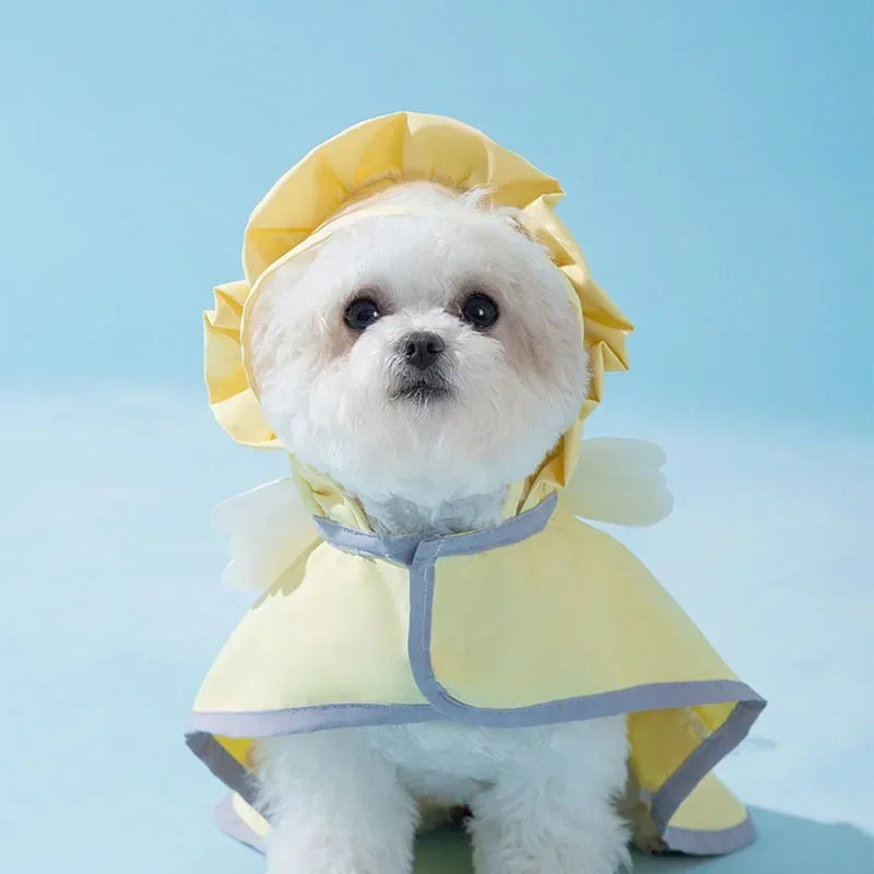 Dog Angel Raincoat