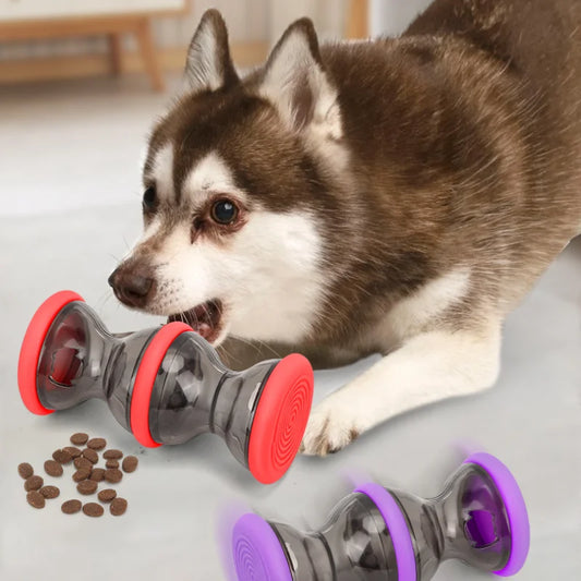 Pet Leaky Food Toy