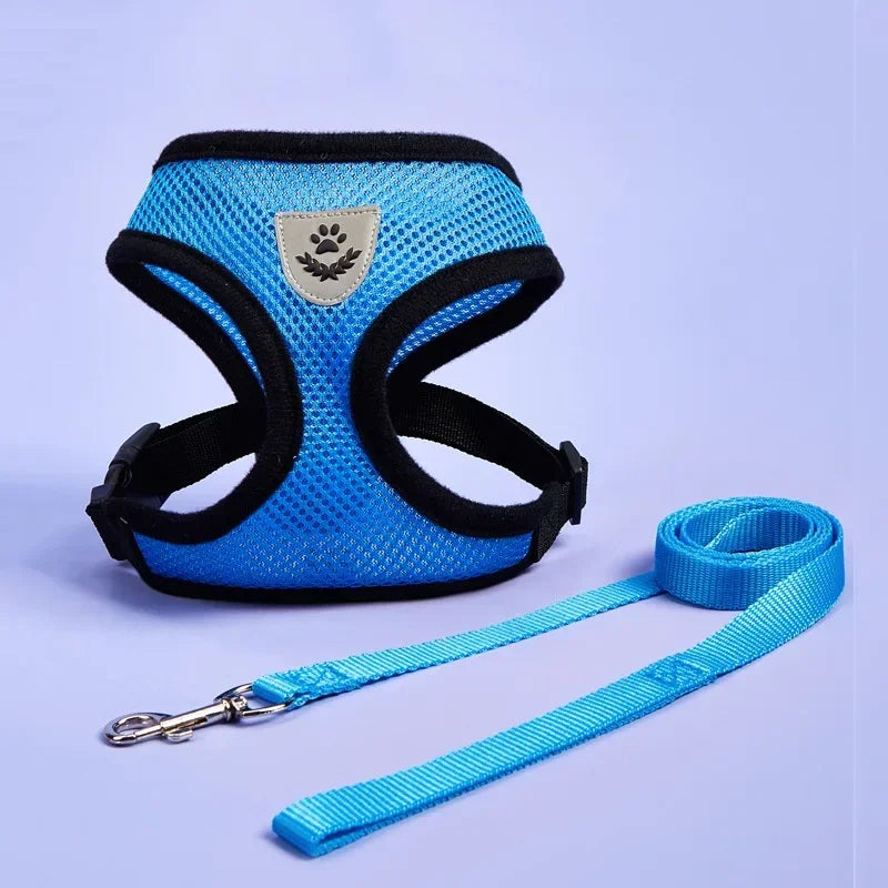 Small Pet Adjustable Harness Vest Walking Lead Leash
