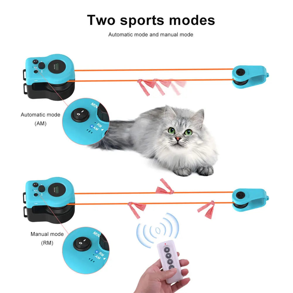Interactive Pet Treadmill