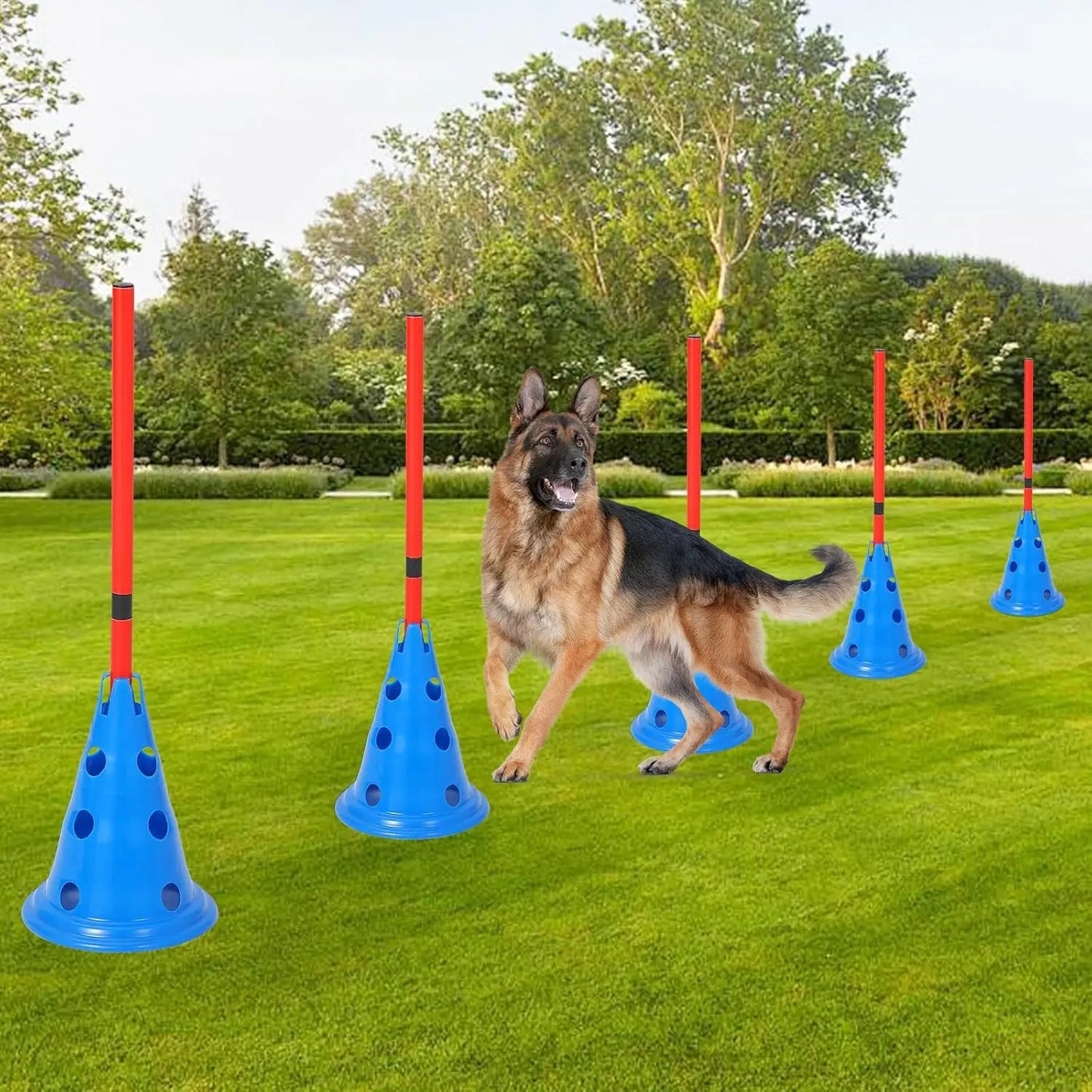 Dog Agility Course Backyard Set