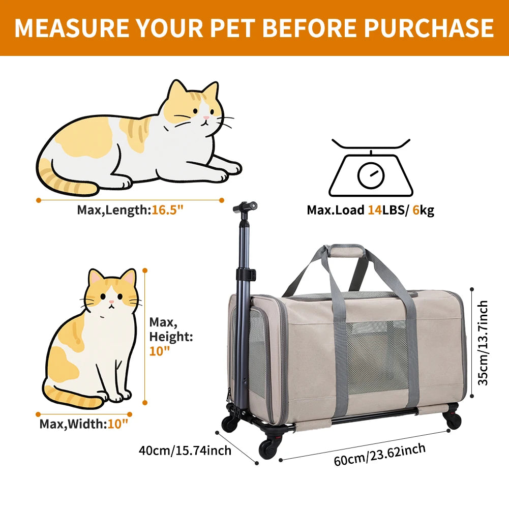 Transport bag with wheels & safety belts for travel