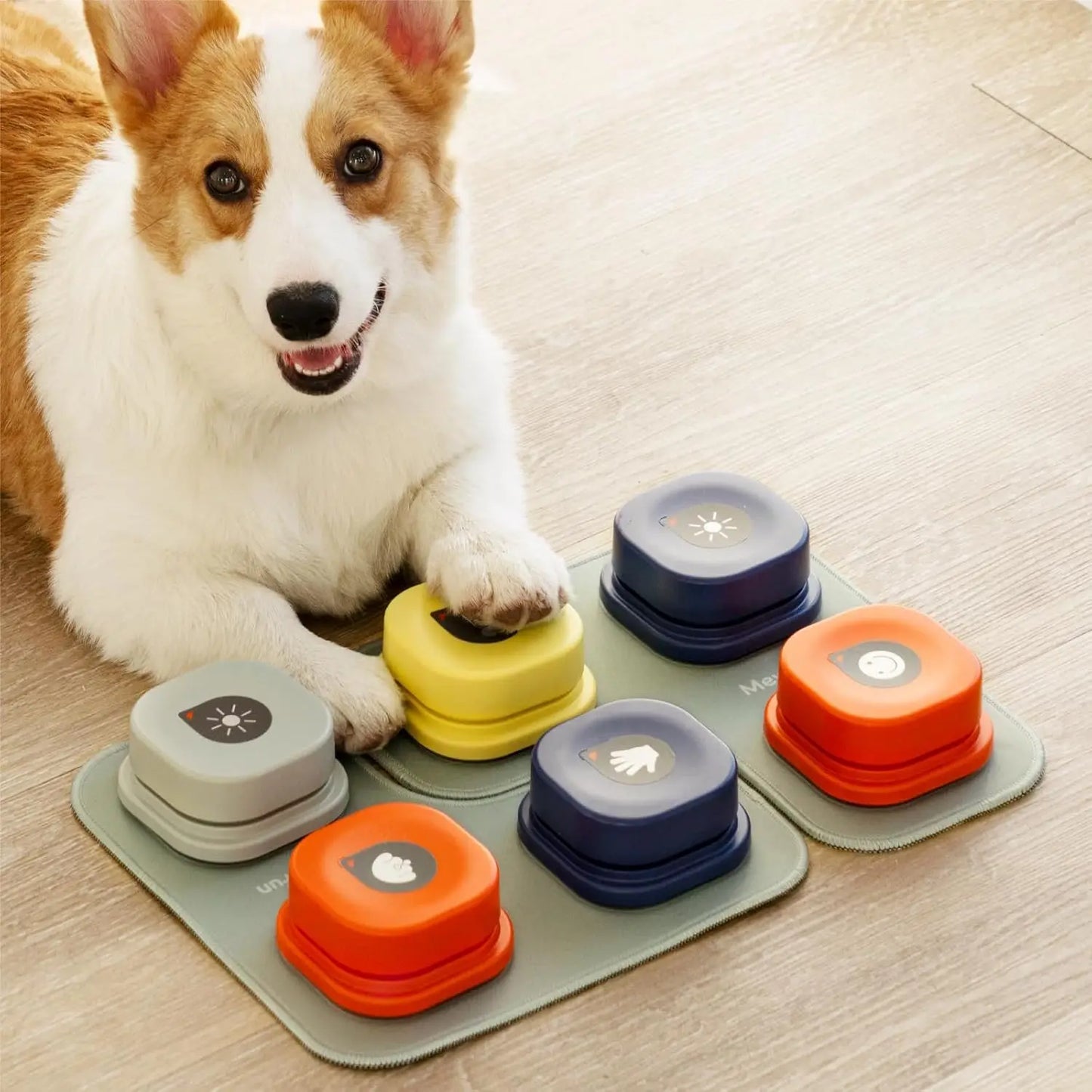 Mewoofun Dog Buttons Recordable Starter Pack