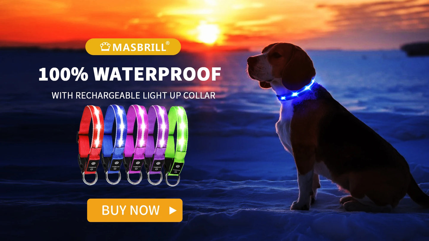 MASBRILL Light Up Dog Collar