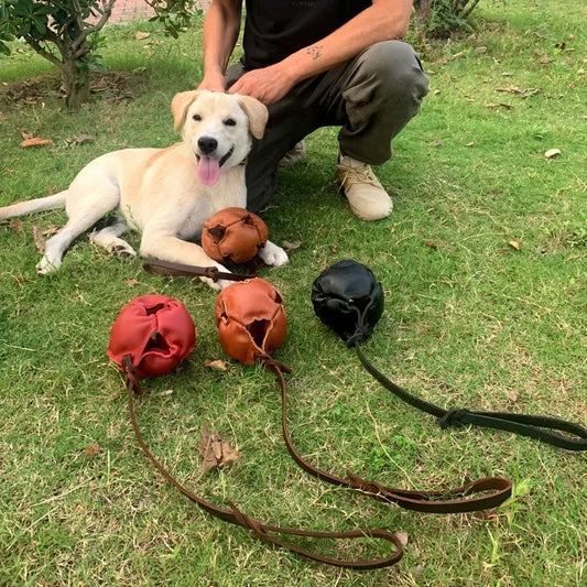 Leather Dog Training Ball with a Handle