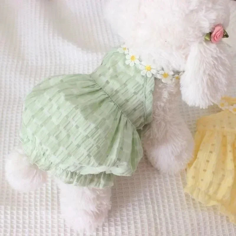 Daisy Dress Dog Clothing