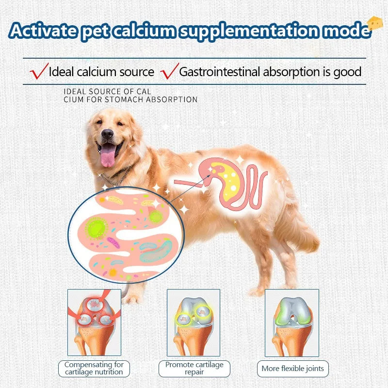 Pet Freeze-dried Snacks