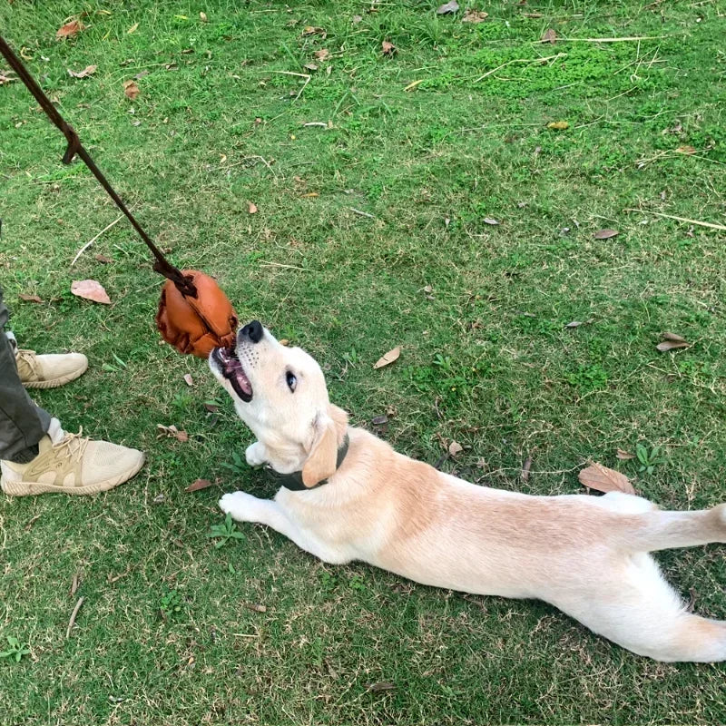 Leather Dog Training Ball with a Handle