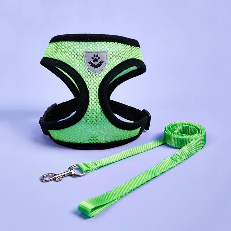 Small Pet Adjustable Harness Vest Walking Lead Leash