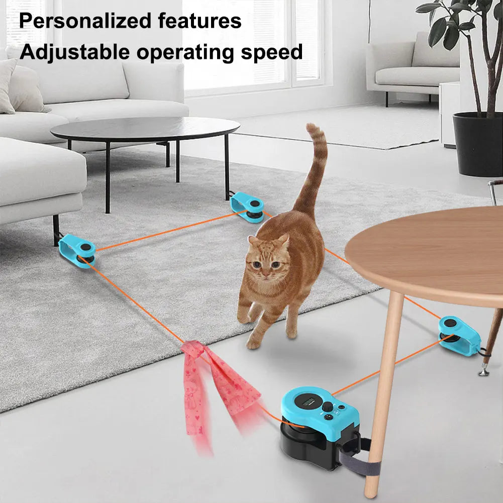 Interactive Pet Treadmill