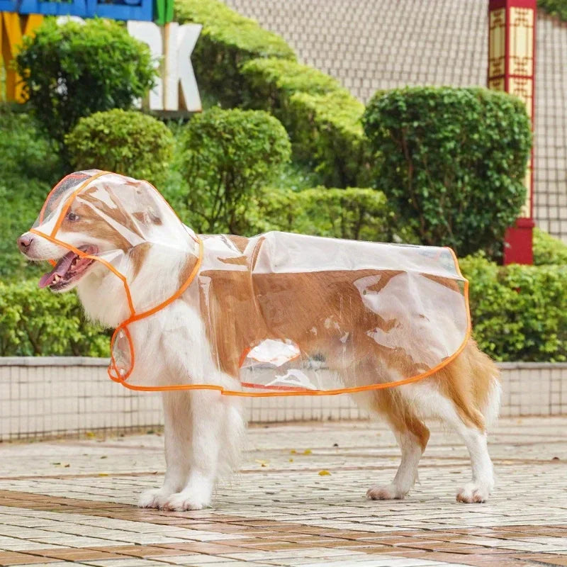 Dog Angel Raincoat