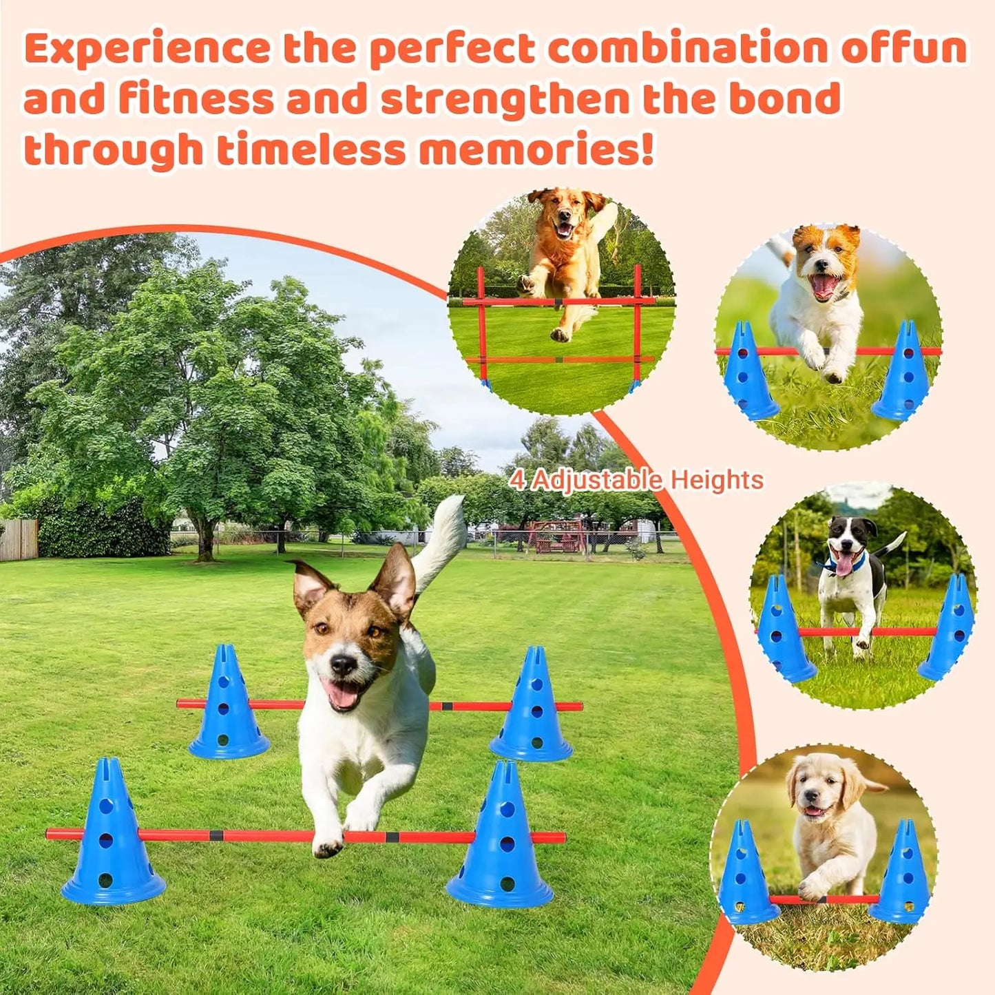 Dog Agility Course Backyard Set