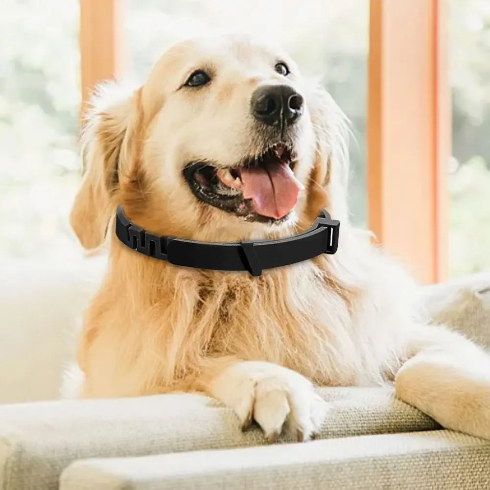 Pet Calming Collar