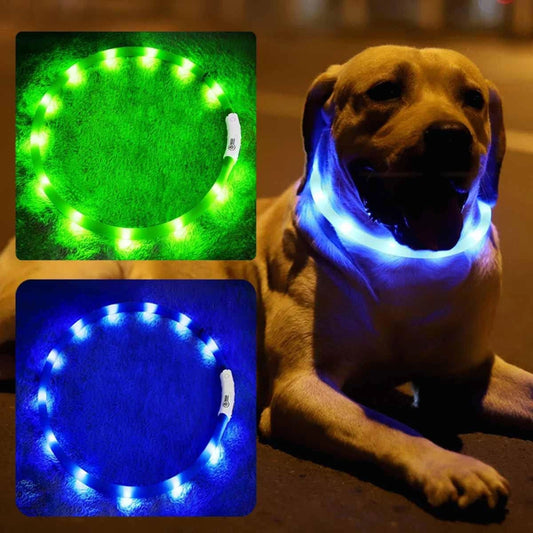 LED Dog Collar, USB Rechargeable