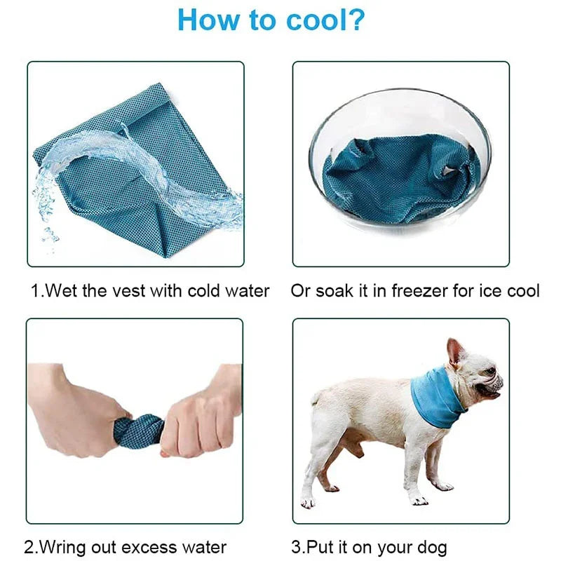 Summer Ice Dog Collar