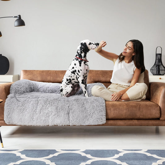 Pet Bed or Sofa Protection