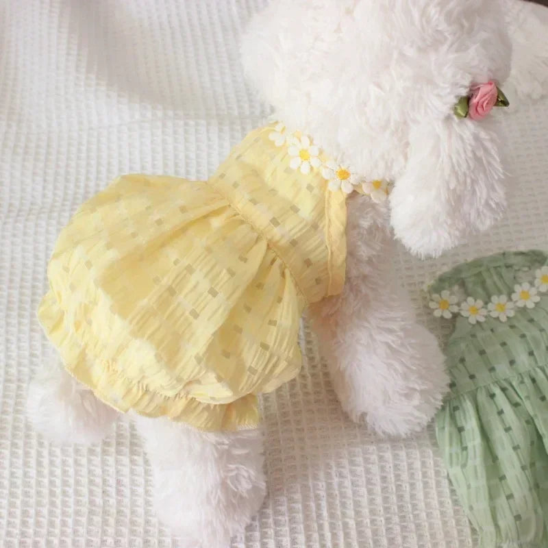 Daisy Dress Dog Clothing