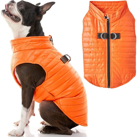 Dog Jacket in Orange for Small to Medium Dogs, Water Resistant with Dual D Ring Leash