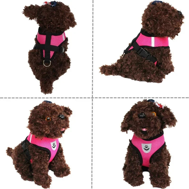 Small Pet Adjustable Harness Vest Walking Lead Leash