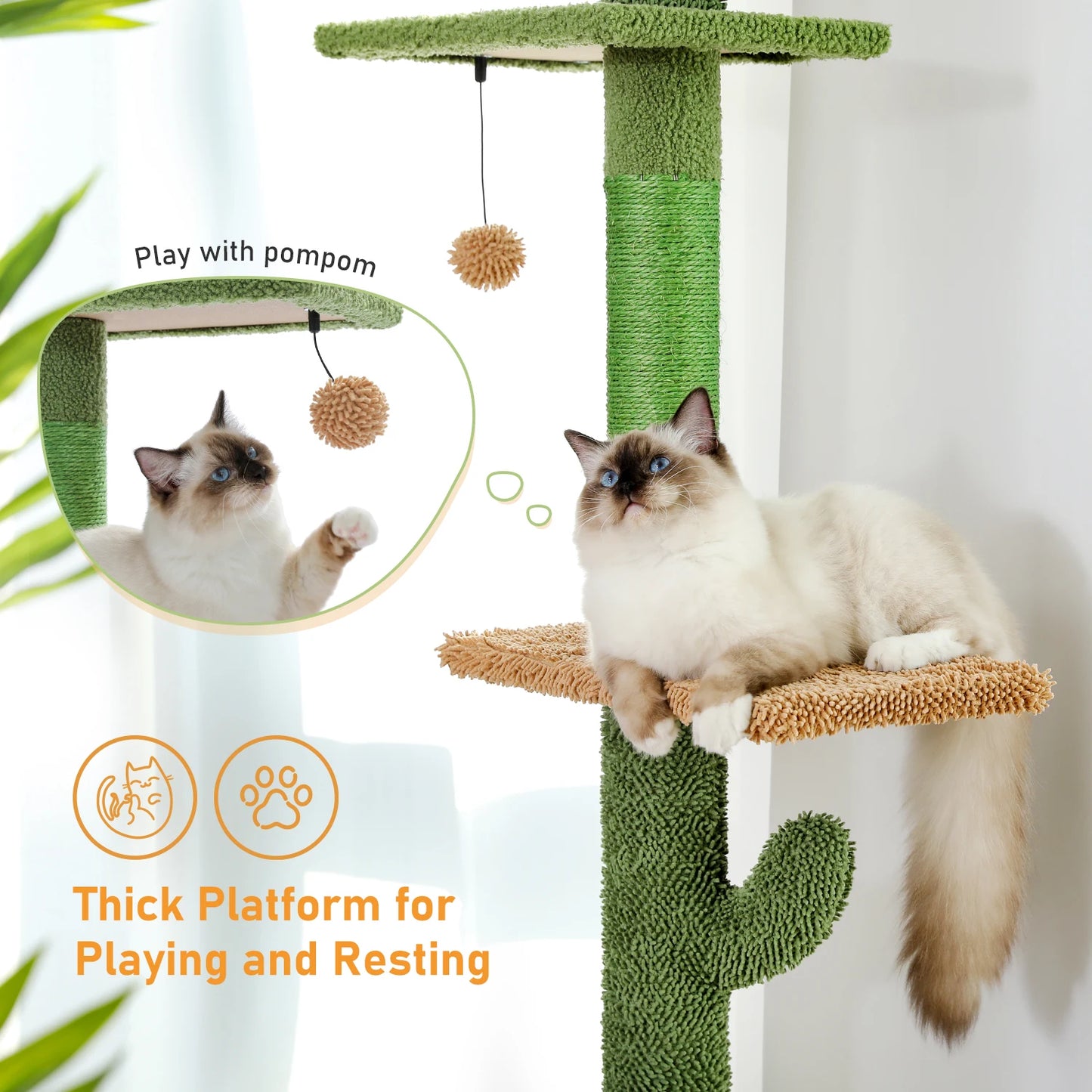 5-Tier Floor to Ceiling Cactus Tall Climbing Tree