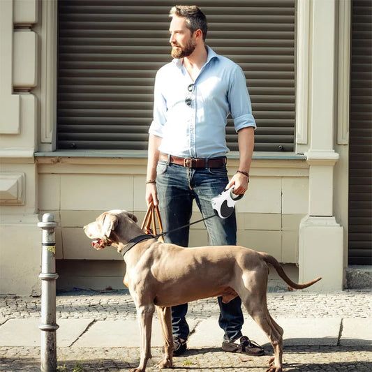 Pet Retractable Leash Comes with a Light