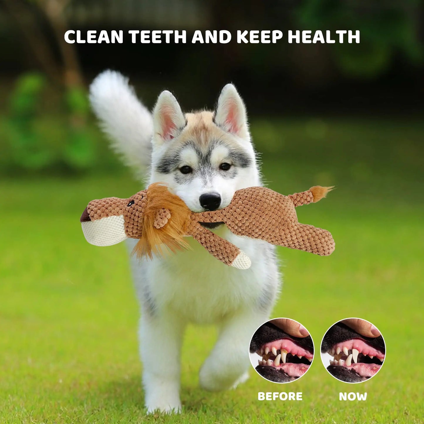 Dog Plush Durable Toy