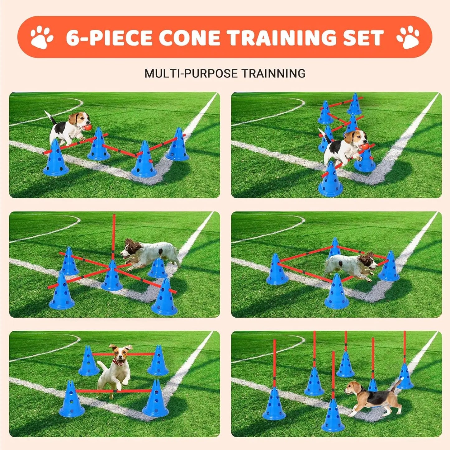 Dog Agility Course Backyard Set