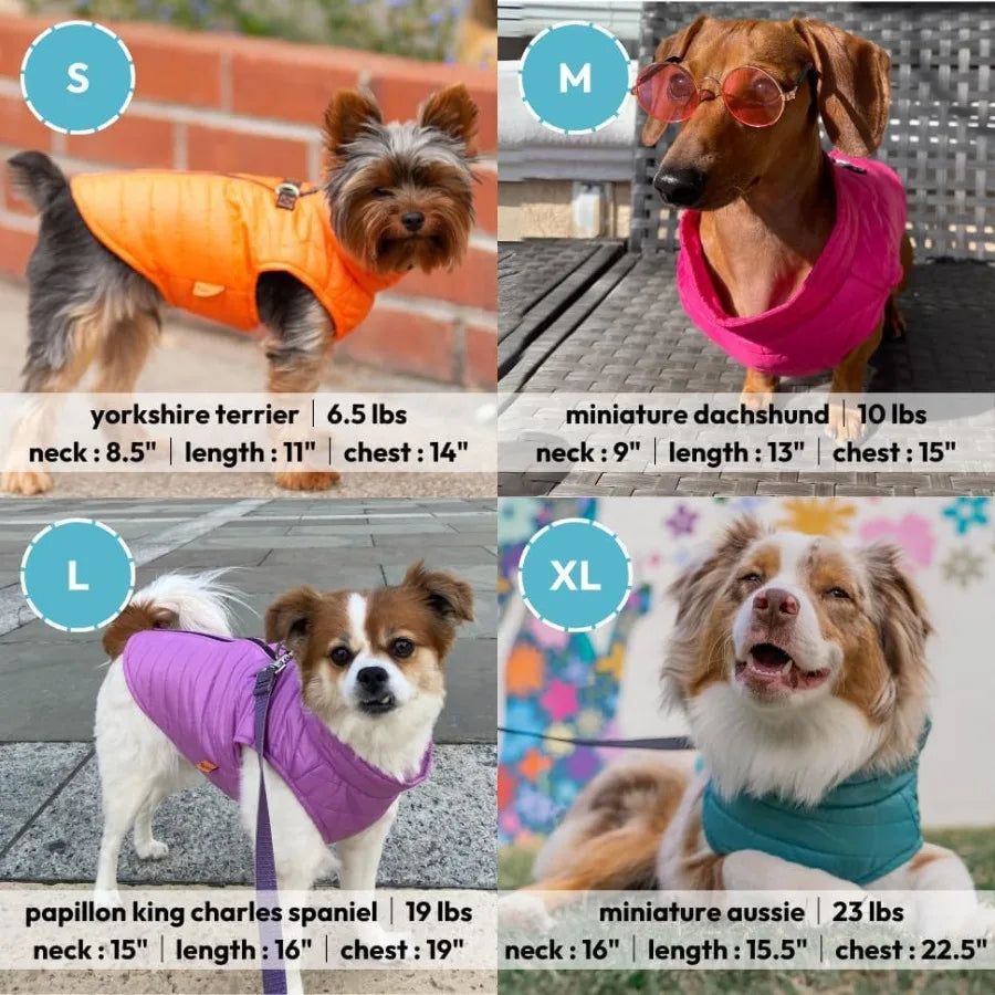 Dog Jacket in Orange for Small to Medium Dogs, Water Resistant with Dual D Ring Leash