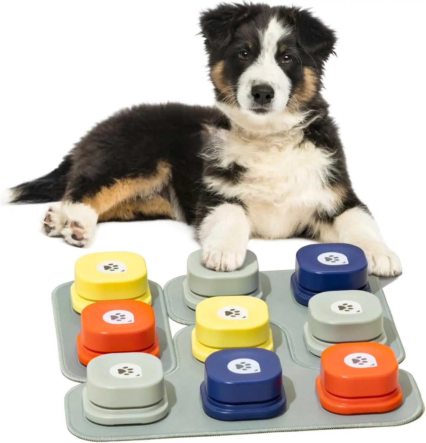 Mewoofun Dog Buttons Recordable Starter Pack
