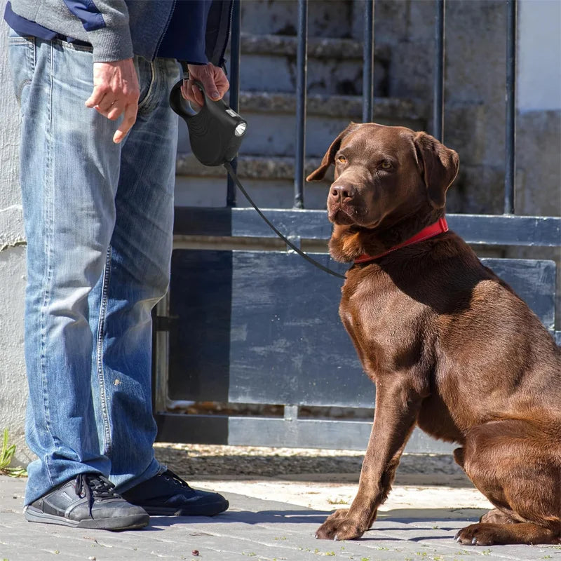 Pet Retractable Leash Comes with a Light