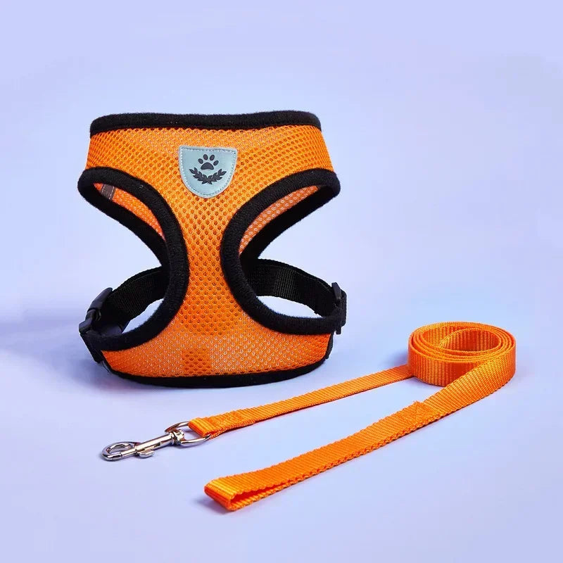 Small Pet Adjustable Harness Vest Walking Lead Leash