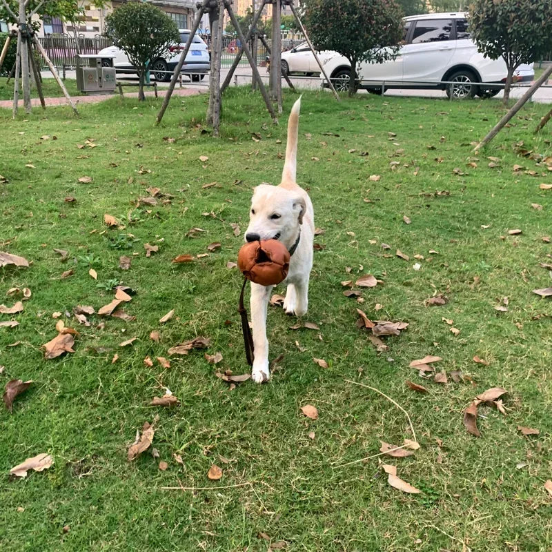 Leather Dog Training Ball with a Handle