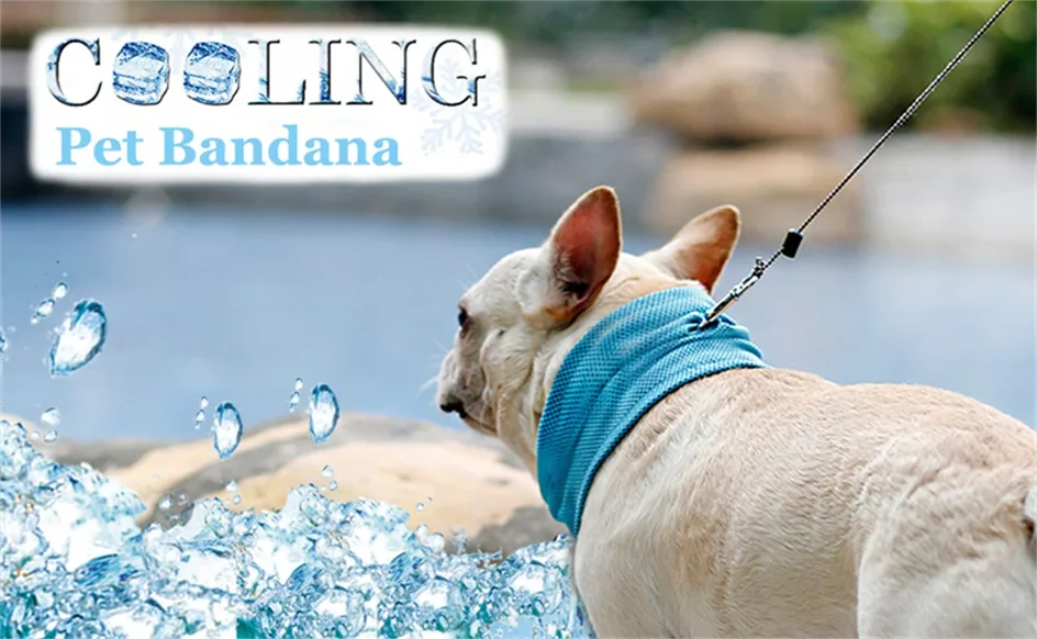 Summer Ice Dog Collar