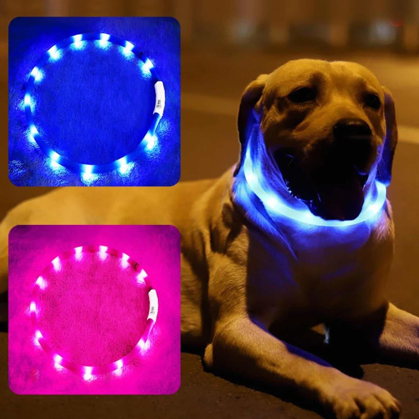 LED Dog Collar, USB Rechargeable