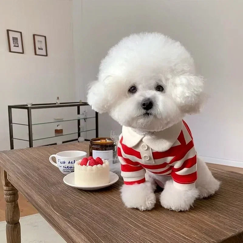 Polo Shirt Summer Striped Pet T-Shirt