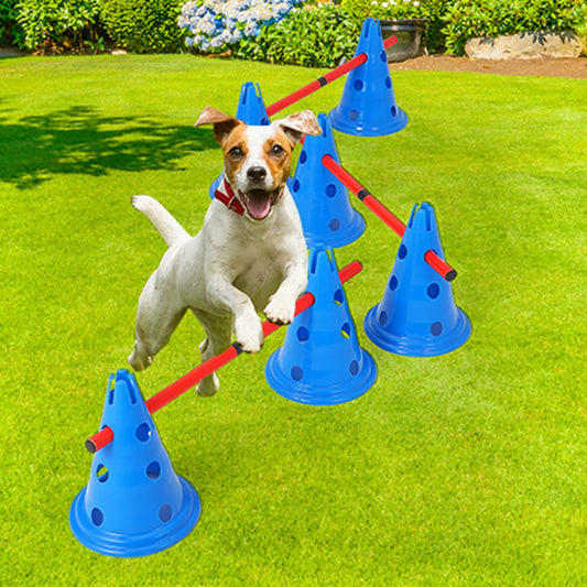 Dog Agility Course Backyard Set