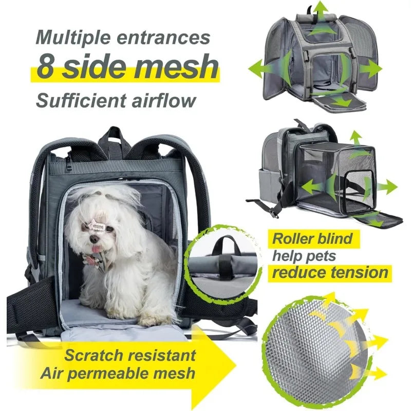 Pet Airline-Approved Backpack