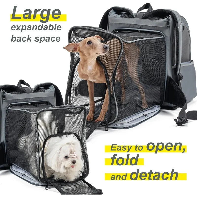 Pet Airline-Approved Backpack