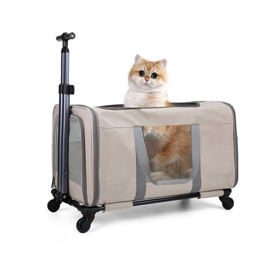 Transport bag with wheels & safety belts for travel